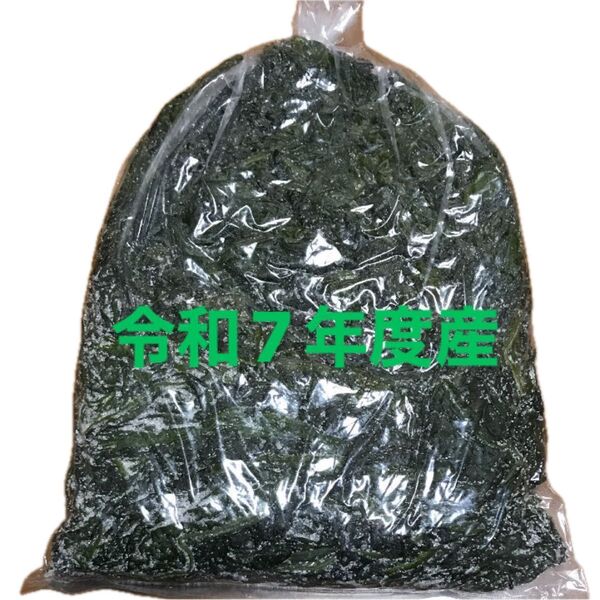 鳴門海峡産 塩蔵わかめ ワカメ 500g