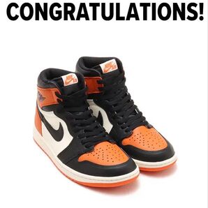 Nike Air Jordan 1 Retro High OG "Shattered Backboard" 2025 シャタバ