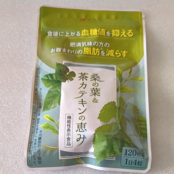 和漢の森 桑の葉 茶カテキンの恵み