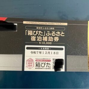 箱ぴた ふるさと宿泊補助券 20000円 3%オフ