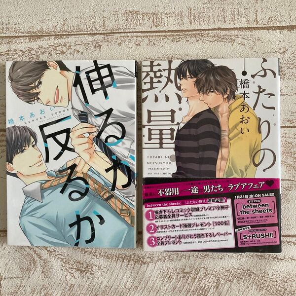 「ふたりの熱量」 「伸るか反るか」 橋本あおい 2冊セット