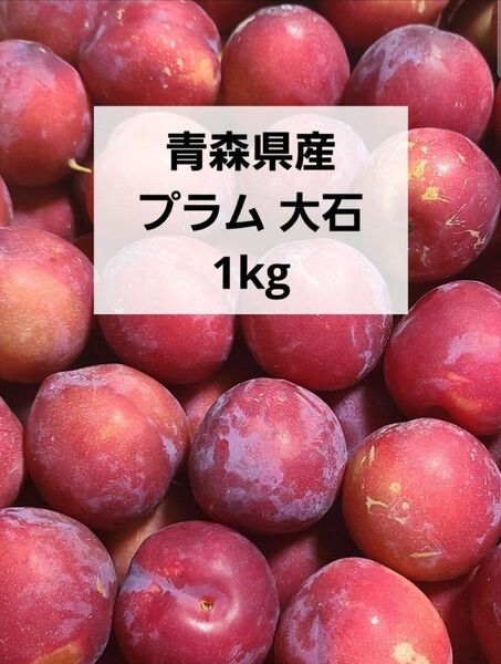 青森県産 プラム すもも 大石 1kg 箱込み
