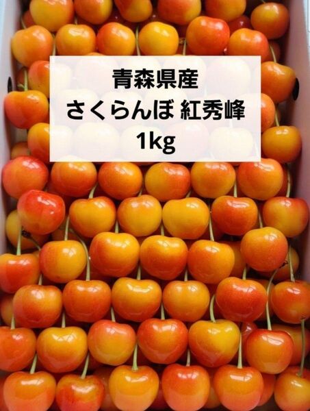 青森県産 さくらんぼ 紅秀峰 1.2kg 箱込み