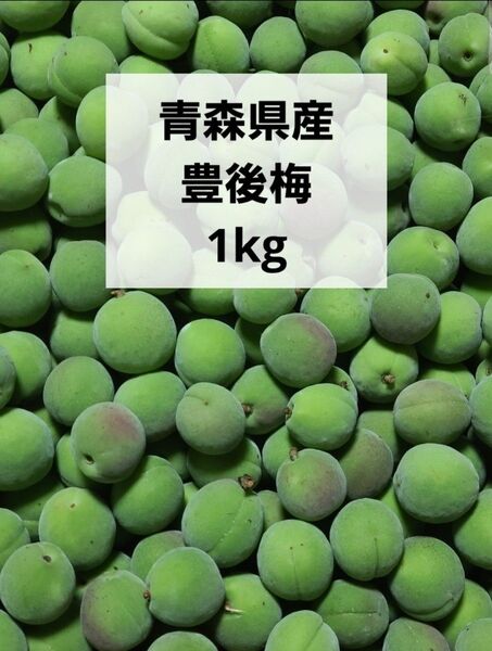 青森県産 梅 青梅 豊後梅 1kg 箱込み