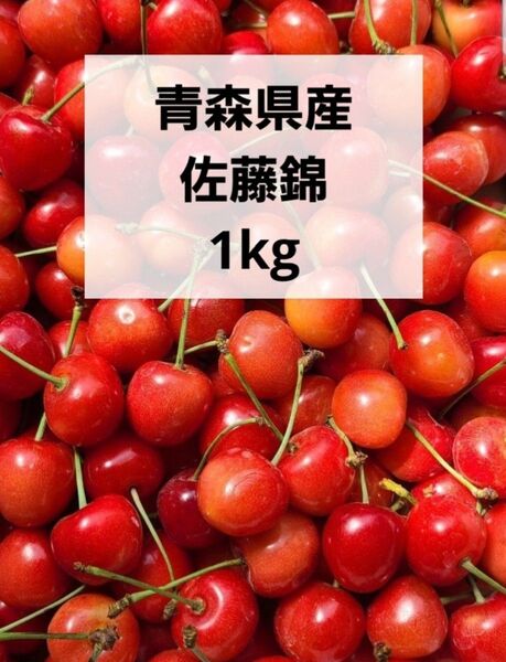 青森県産 さくらんぼ 佐藤錦 1kg 箱込