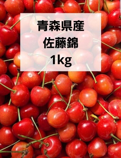 青森県産 さくらんぼ 佐藤錦 1kg 箱込