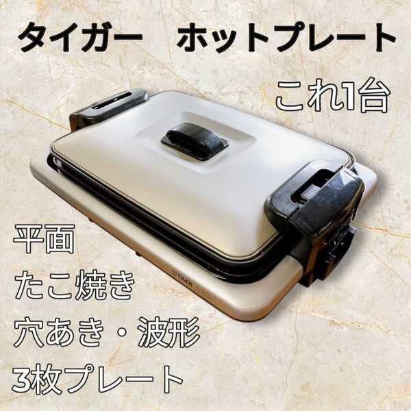【最安値】タイガー ホットプレート CRV-G300(SN) これ1台