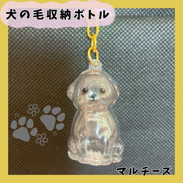 犬の毛収納ボトル マルチーズ カプセル 毛玉 キーホルダー ケース ペット