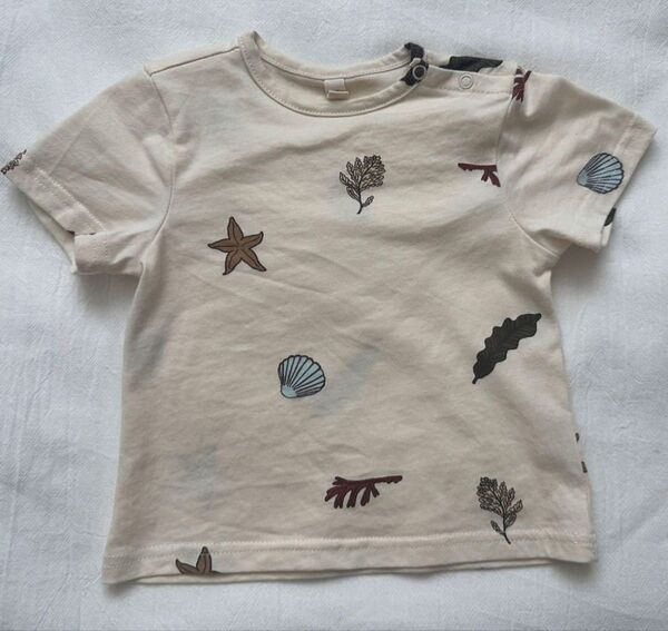 organic zoo tシャツ 0-6m