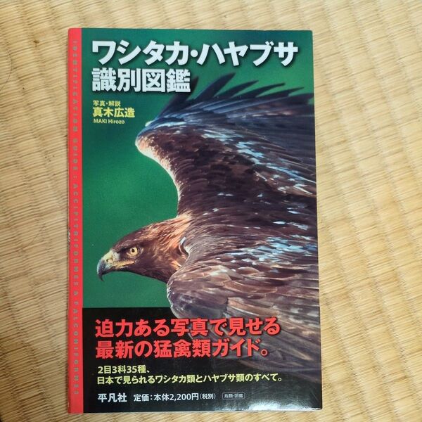 ワシタカ・ハヤブサ識別図鑑【帯付き】