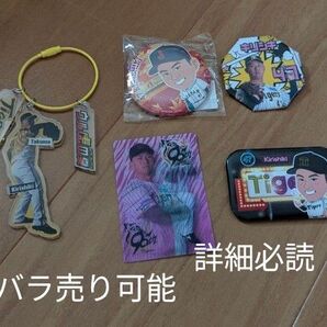 阪神タイガース 桐敷拓馬 まとめ