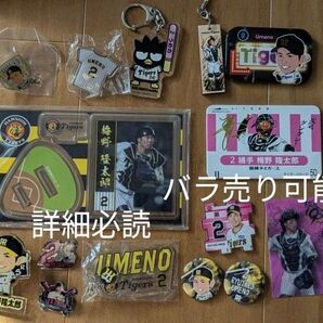 阪神タイガース 梅野隆太郎 まとめ