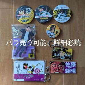 阪神タイガース 佐藤輝明 まとめ