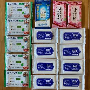 除菌ウエットシート16ケ(10枚入り) 携帯用
