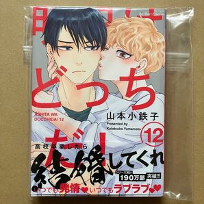 【新品未読】あしたはどっちだ! 12巻 山本小鉄子