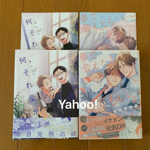何それ愛かよ ろじ アニメイトリーフレット 夢で会えたらシてもいい? 小丸オイコ