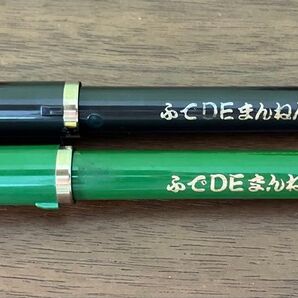 万年筆 ふでDEまんねん 2本セット