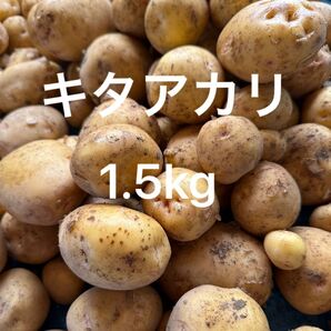 キタアカリ 新じゃが