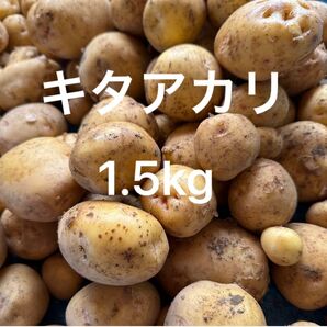 キタアカリ 新じゃが