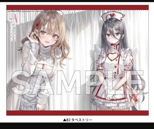 時々ボソッとロシア語でデレる隣のアーリャさん 10 ゲーマーズ限定版 オリジナルB2タペストリー マーシ 綾乃 新品未開封