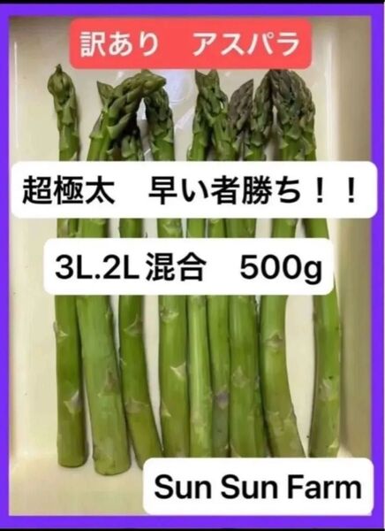 アスパラガス 訳あり品 3L 2Lサイズ混合 500グラム 朝採れ発送