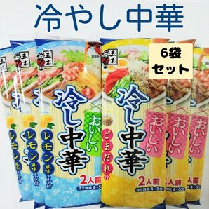 五木食品 おいしい冷し中華ごまだれ2人前× 3袋★レモン風味2人前×3袋
