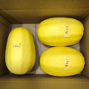 そうめんかぼちゃ 3玉 約4.7Kg 兵庫県産 80サイズ発送