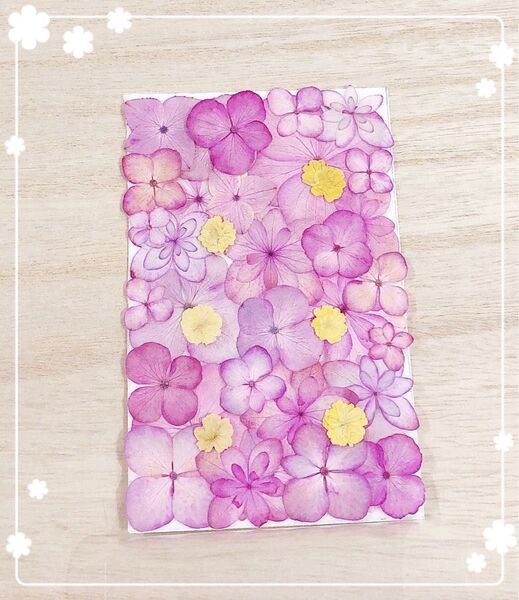 【押し花 素材】ピンク系アジサイセット74
