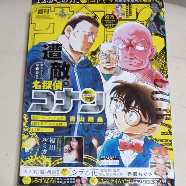 週刊少年サンデー 2025年33号 7月30日号 (小学館)