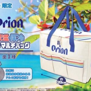 【新品・未使用】オリオンビール 保温保冷BIGマルチバッグ (GIGO限定)