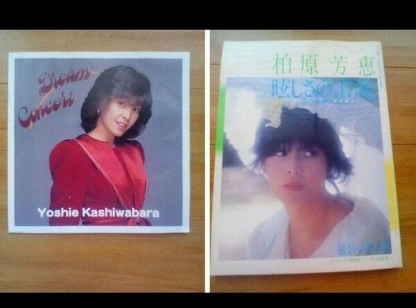 柏原芳恵 1983年ドリームコンサート パンフレット & 眩しさの17歳 写真集 のセット