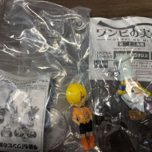 ワンピの実 ONEPIECE エッグヘッドサンジ&ゼフ まとめ買いOK