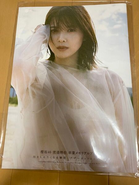 櫻坂46 渡邊理佐 卒業メモリアルブック 抱きしめたくなる瞬間 アザーカットミニブック