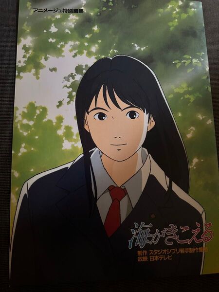 映画 海がきこえる 復刻パンフレット リバイバル上映 劇場グッズ 新品 未読品