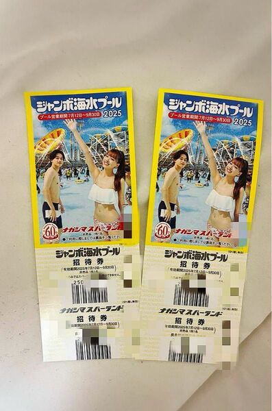 送料無料ナガシマ ジャンボ海水プール 2枚セット YA30-01
