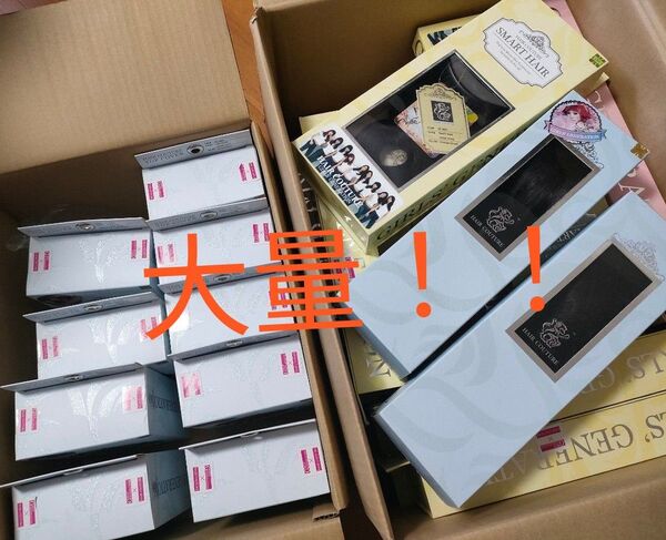 新品未開封 少女時代イメージキャラクター HAIR COUTURE ヘアクチュール ウィッグ約29点大量セット ヘアークチュール