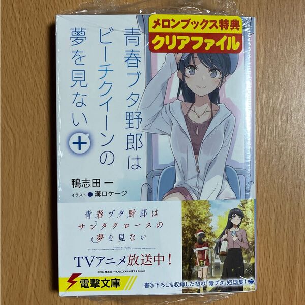 青春ブタ野郎はビーチクイーンの夢を見ない+ (電撃文庫 4333) 鴨志田一/〔著〕