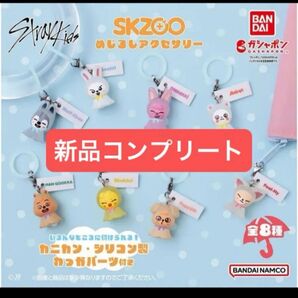【新品コンプリート】SKZOO めじるしアクセサリー カプセルトイ サンリオキャラクターズ