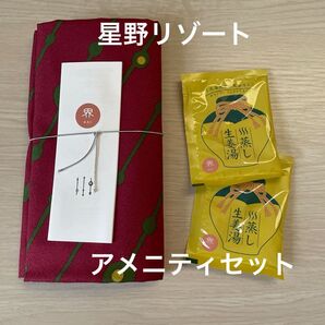 星野リゾート 界 伊東 ふろしき&生姜湯