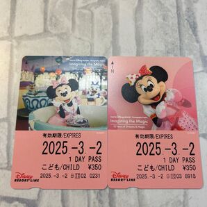 ミニーの日 イマジニングザマジック リゾートライン フリー切符 穴なし コレクション 3/2 2枚セット
