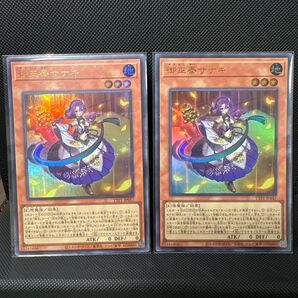 遊戯王 御巫奉サナキ 2枚セット