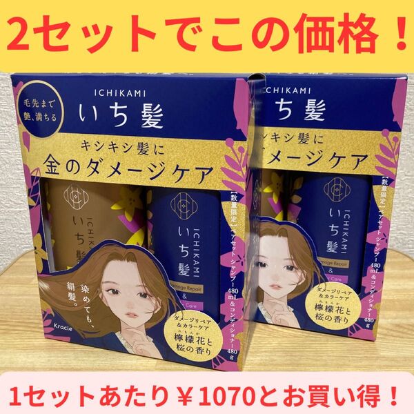 いち髪 ダメージリペア&カラーケア シャンプー&コンディショナー ペアセット2025(480ml+480g)×2個