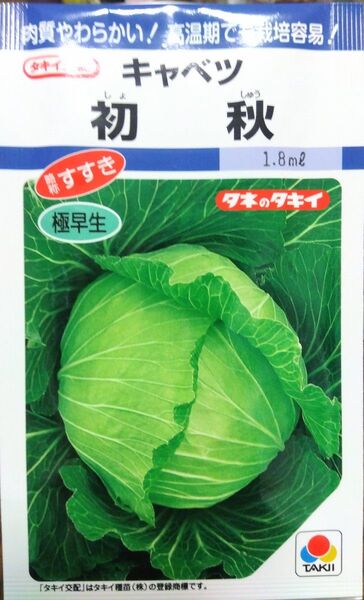 【7月種まき時期】キャベツ 初秋 種子18粒 お試し量 暑さに強い品種 タキイ