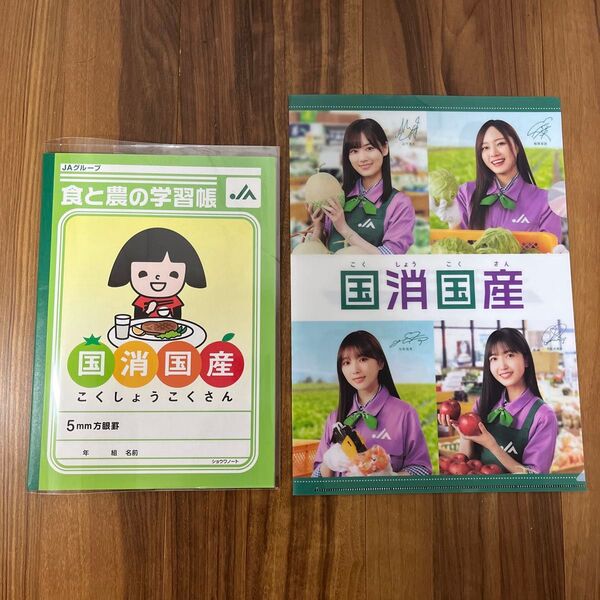 乃木坂46 JAグループコラボグッズ2点セット 齋藤飛鳥、山下美月、与田祐希、賀喜遥香、遠藤さくら他