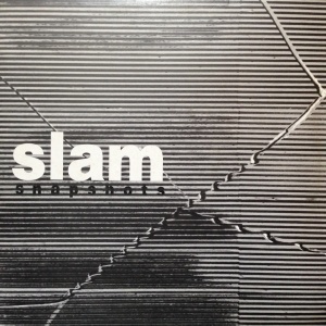 12inchX2レコード SLAM / SNAPSHOTS