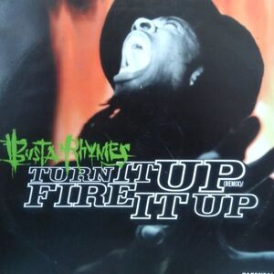 12inchレコード　 BUSTA RHYMES / TURN IT UP REMIX (UK)