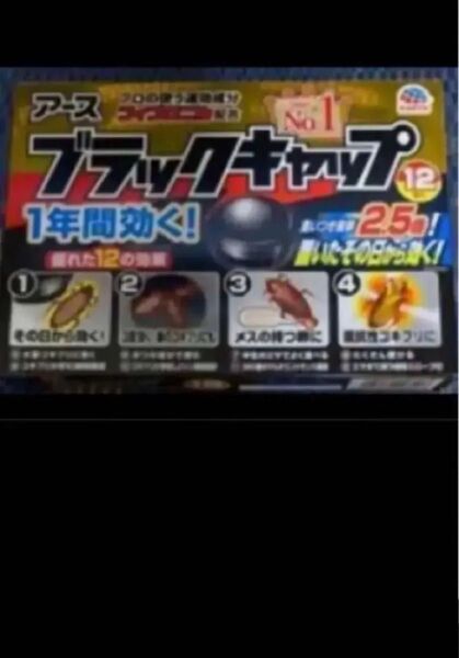 食いつき抜群2.5倍タイプ アース ブラックキャップ12個 ゴキブリ対策 30日以内に購入した最新の品