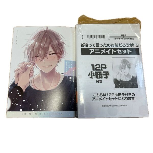 好きって言ったのお前だろうが! 3 梅田みそ アニメイト限定版 小冊子 特典 商業BL