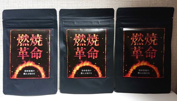 安心の日本製♪ 男性も♪ 小粒で飲みやすい♪ ビタミン11種 脂肪燃焼 カプサイシン ダイエットサプリ お得な3袋セット 90日分