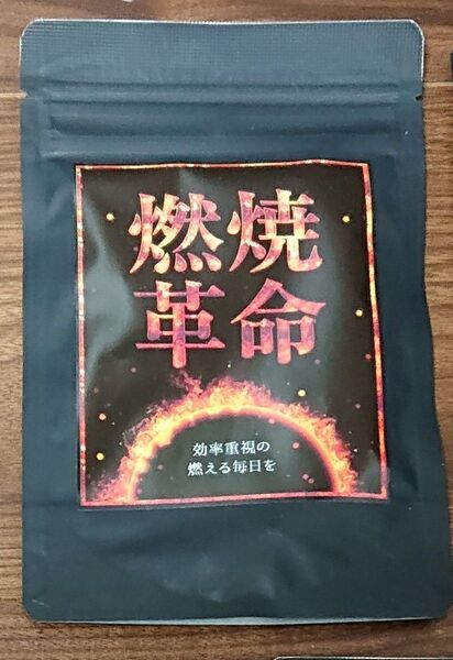 安心の日本製♪ 男性にもおすすめ♪ 小粒で飲みやすい♪ ビタミン11種 脂肪燃焼 ダイエットサプリ 30日分